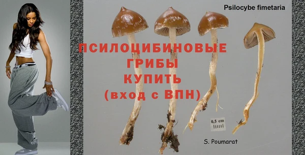 PSILOCYBIN Беломорск
