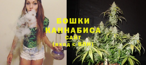 PSILOCYBIN Беломорск