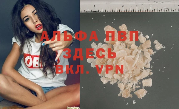 PSILOCYBIN Беломорск