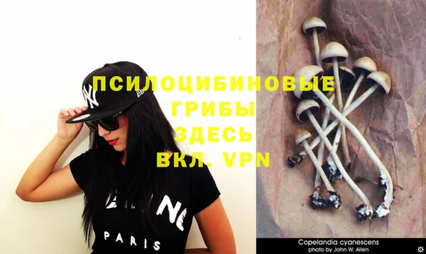 стафф Балабаново
