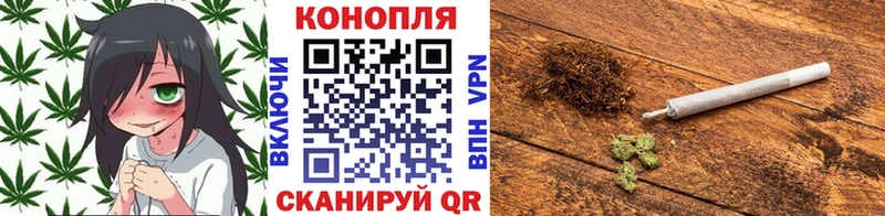 Каннабис сатива  Тара 